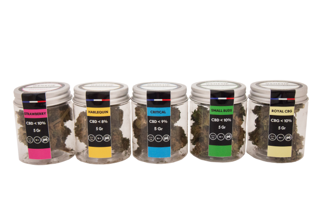 gamme de fleurs de cbd et resines cbd pour buraliste tabac