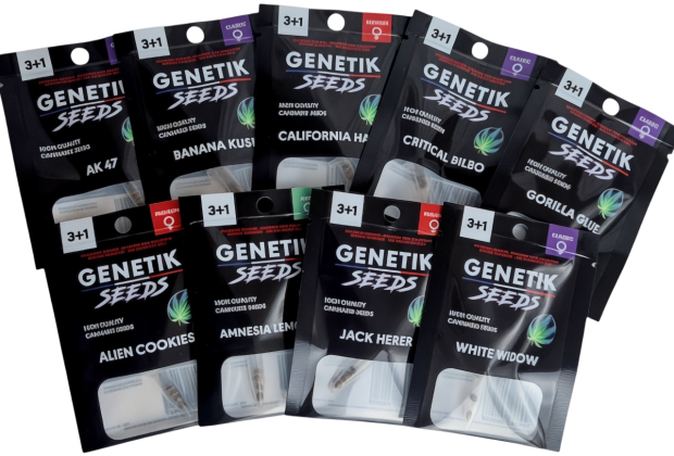 genetik marque cbd pour buraliste avec graine de cbd